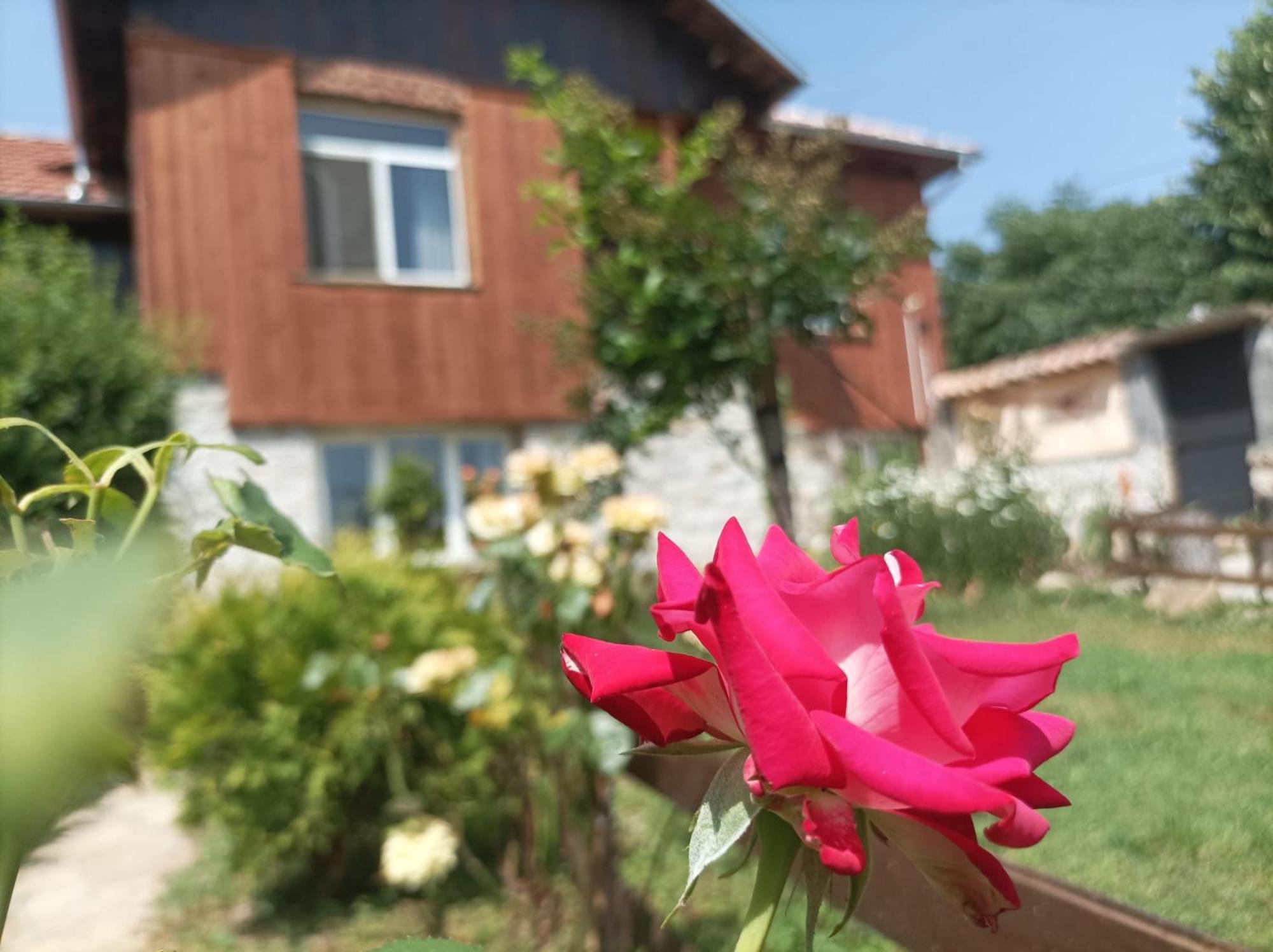 Villa Nina In Kramolin Eksteriør billede